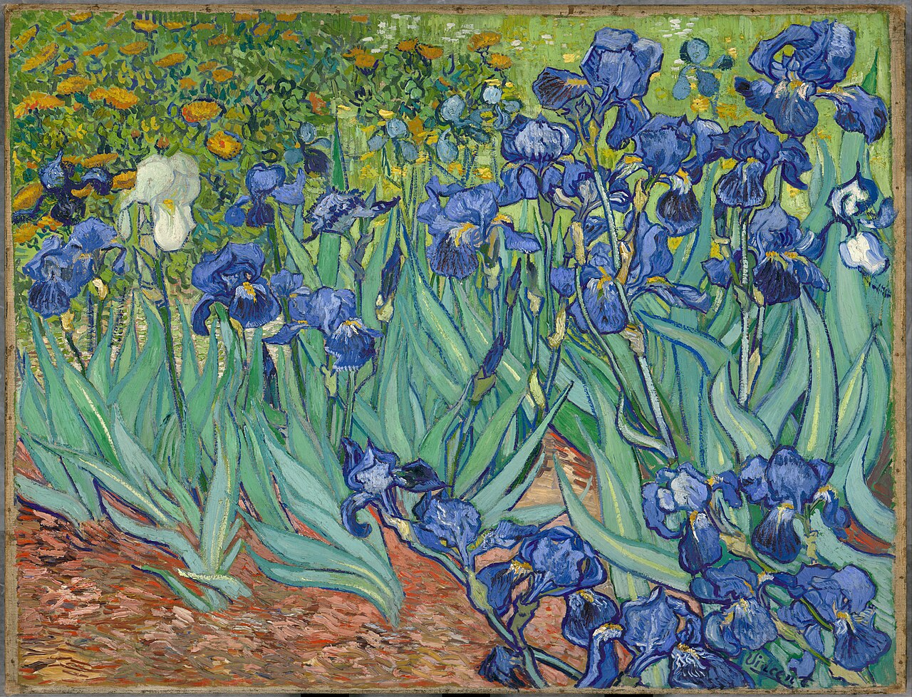 irises vincent van gogh irises vincent van gogh